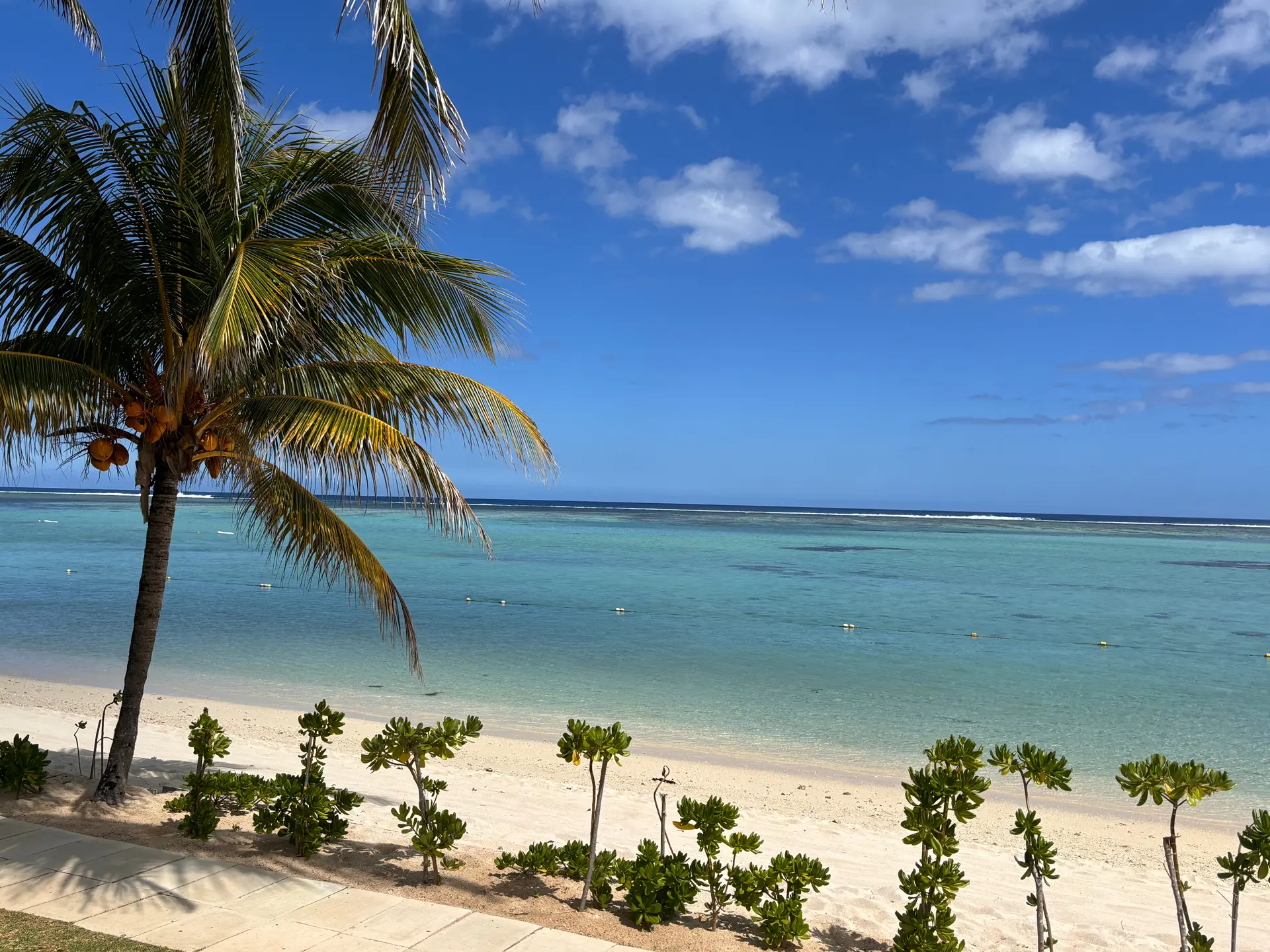 Plage de Trou aux Biches avec cocotier, sable blanc et lagon turquoise à l’île Maurice